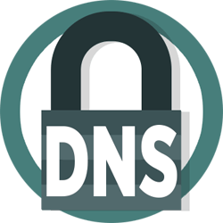 DNS Management